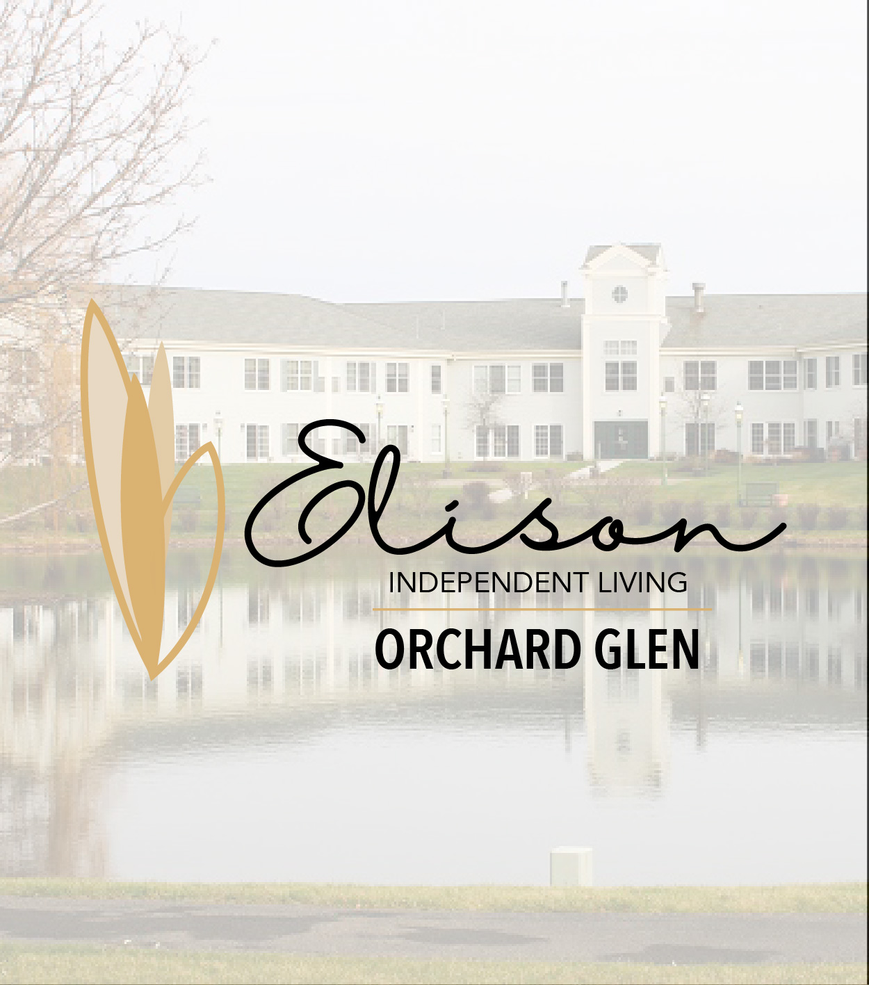 Elison Thumbnails 07 Sagora Senior Living